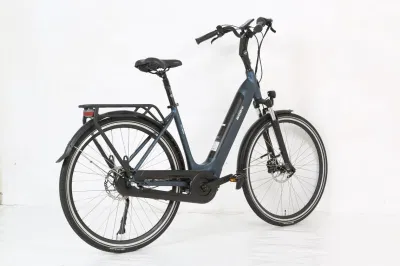 電動自転車シティバイク EU 700c Bafang MID モーター